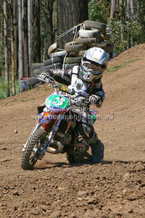 445x677 pixels (83K)